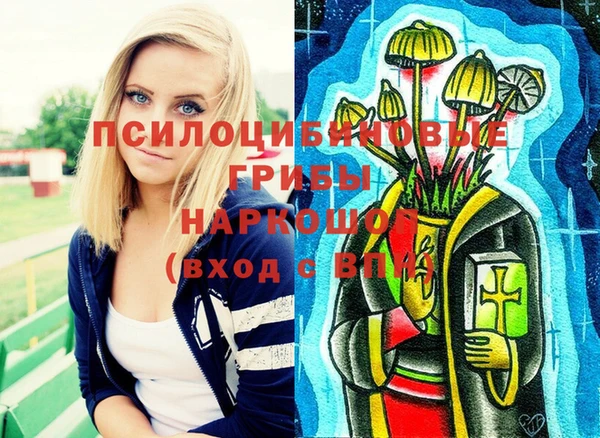 ПСИЛОЦИБИНОВЫЕ ГРИБЫ Баксан