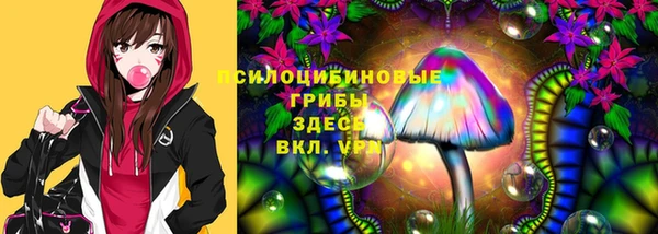 ПСИЛОЦИБИНОВЫЕ ГРИБЫ Баксан