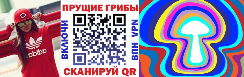 купить  цена  Пересвет  Псилоцибиновые грибы Psilocybine cubensis 